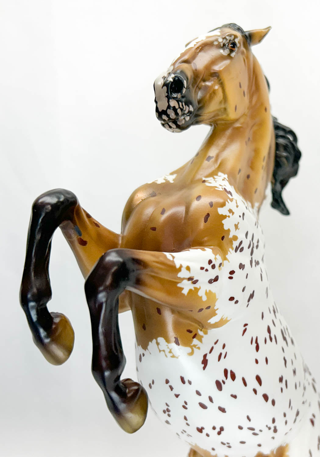 Lipizzaner Stallion ~ Adonis - 2023 Premier Club