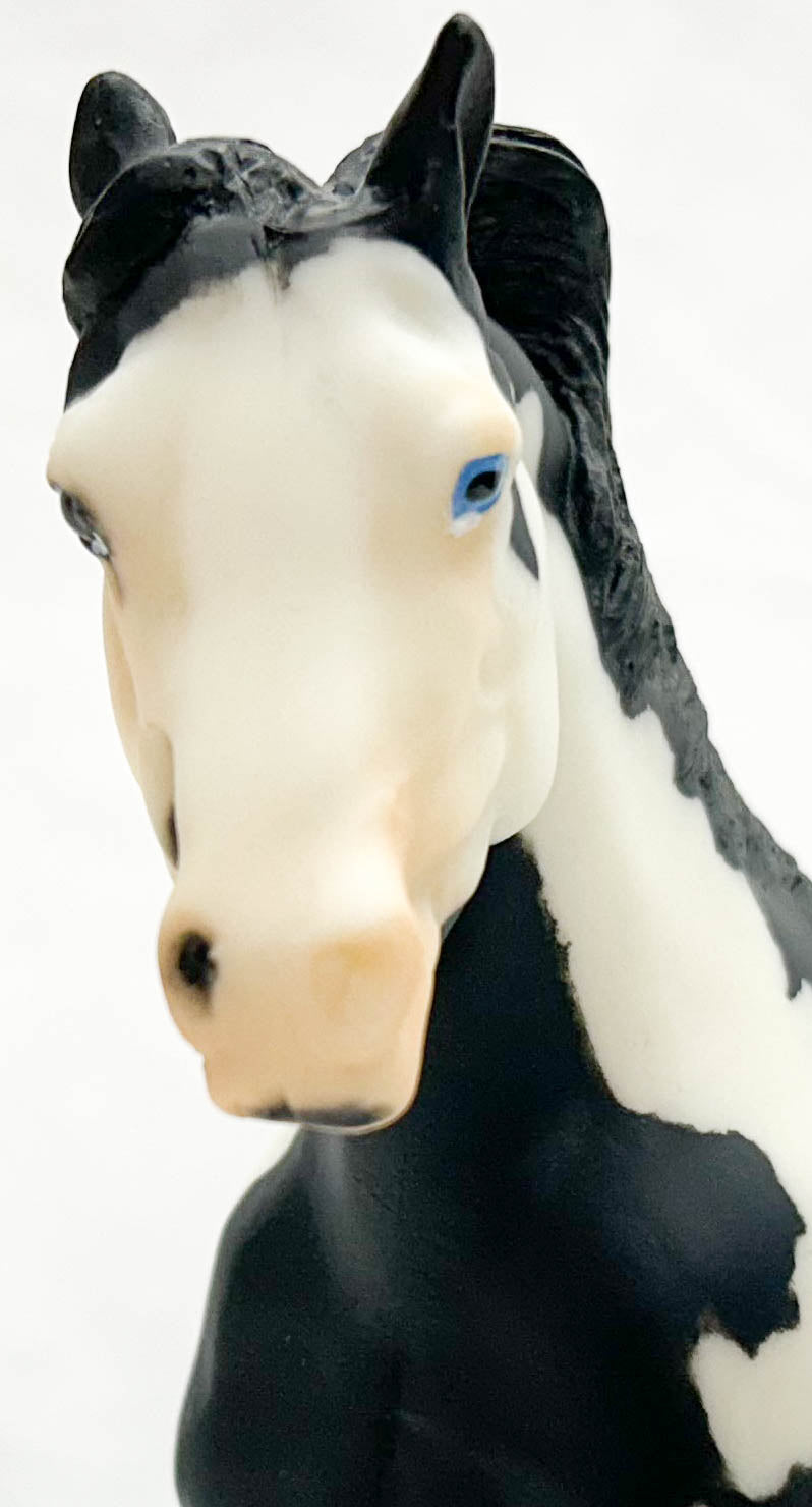 Ranch Horse ~ Cisco Kid's Diablo