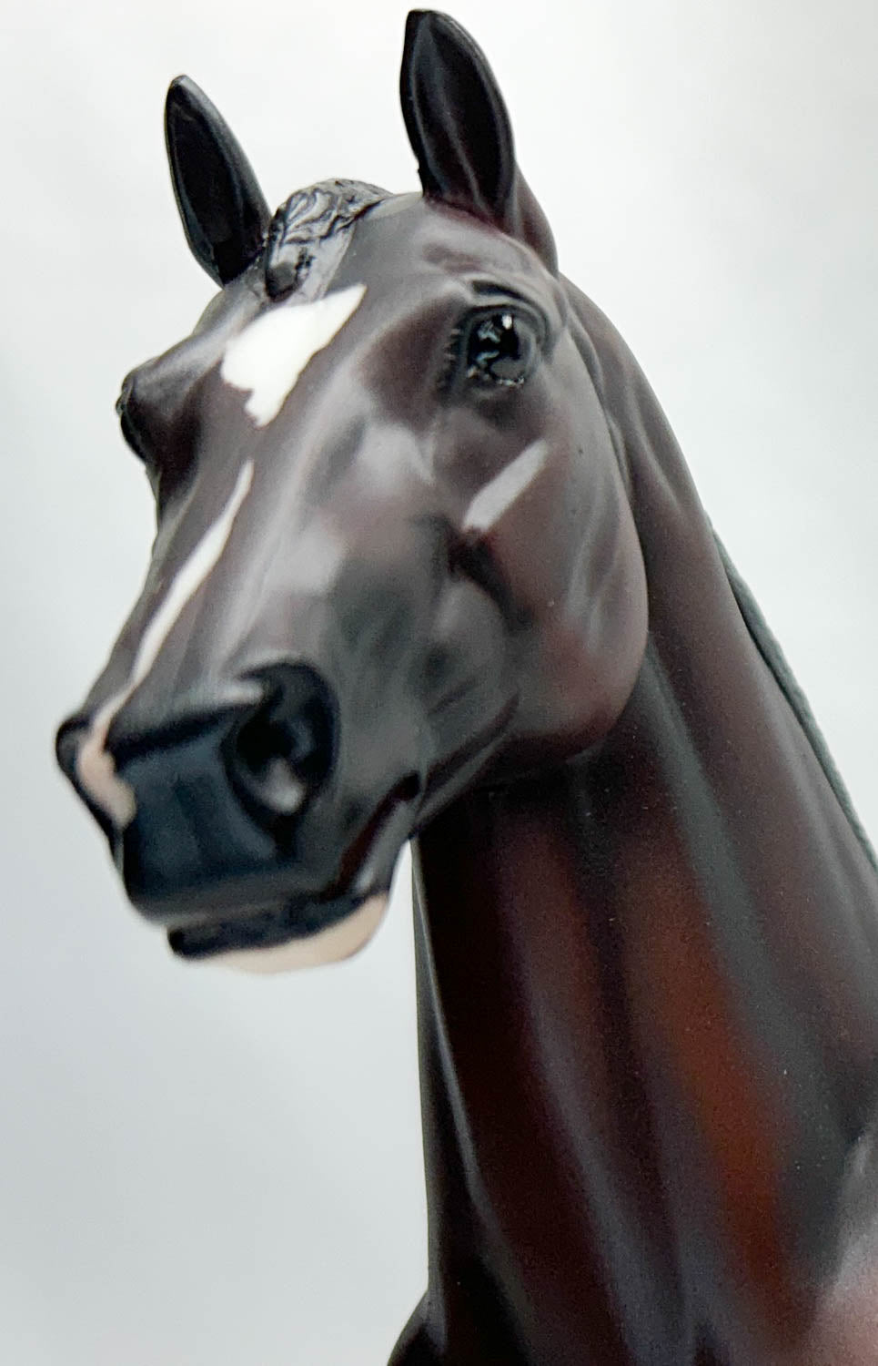 Show Jumping Warmblood ~ Royal Kalibur - USET Festival of Champions