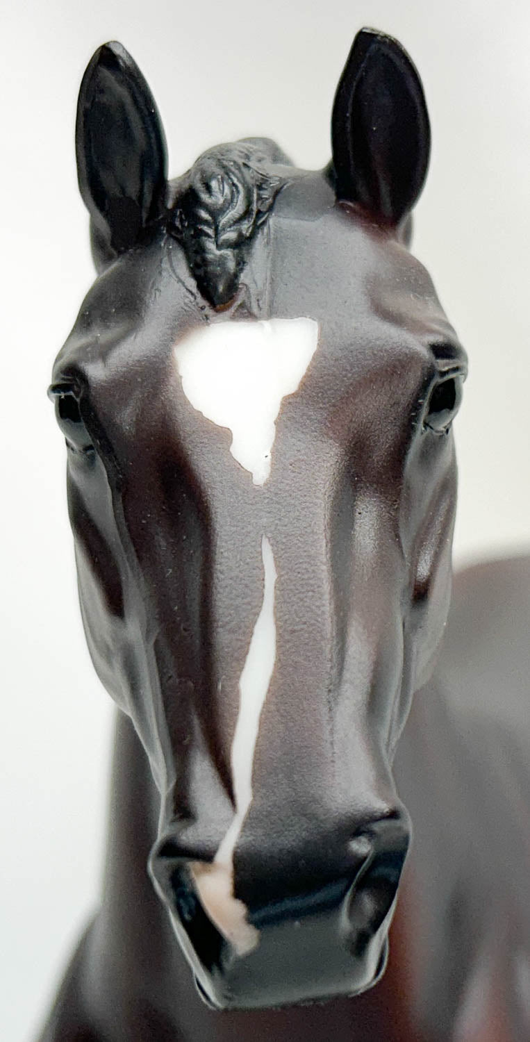 Show Jumping Warmblood ~ Royal Kalibur - USET Festival of Champions