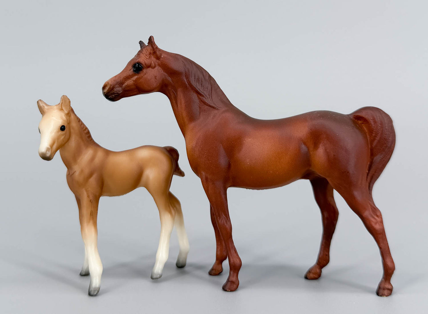 Arabian Stallion & Thoroughbred Standing Foal, Chestnut / Red Dun