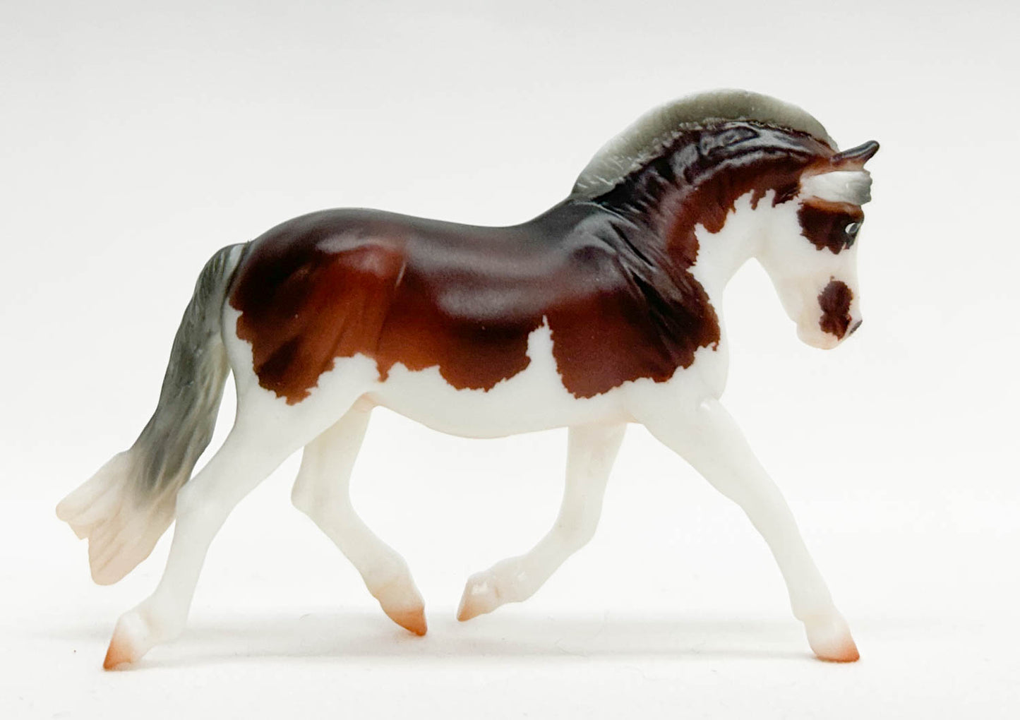 Fjord ~ Lyric - Premier Club