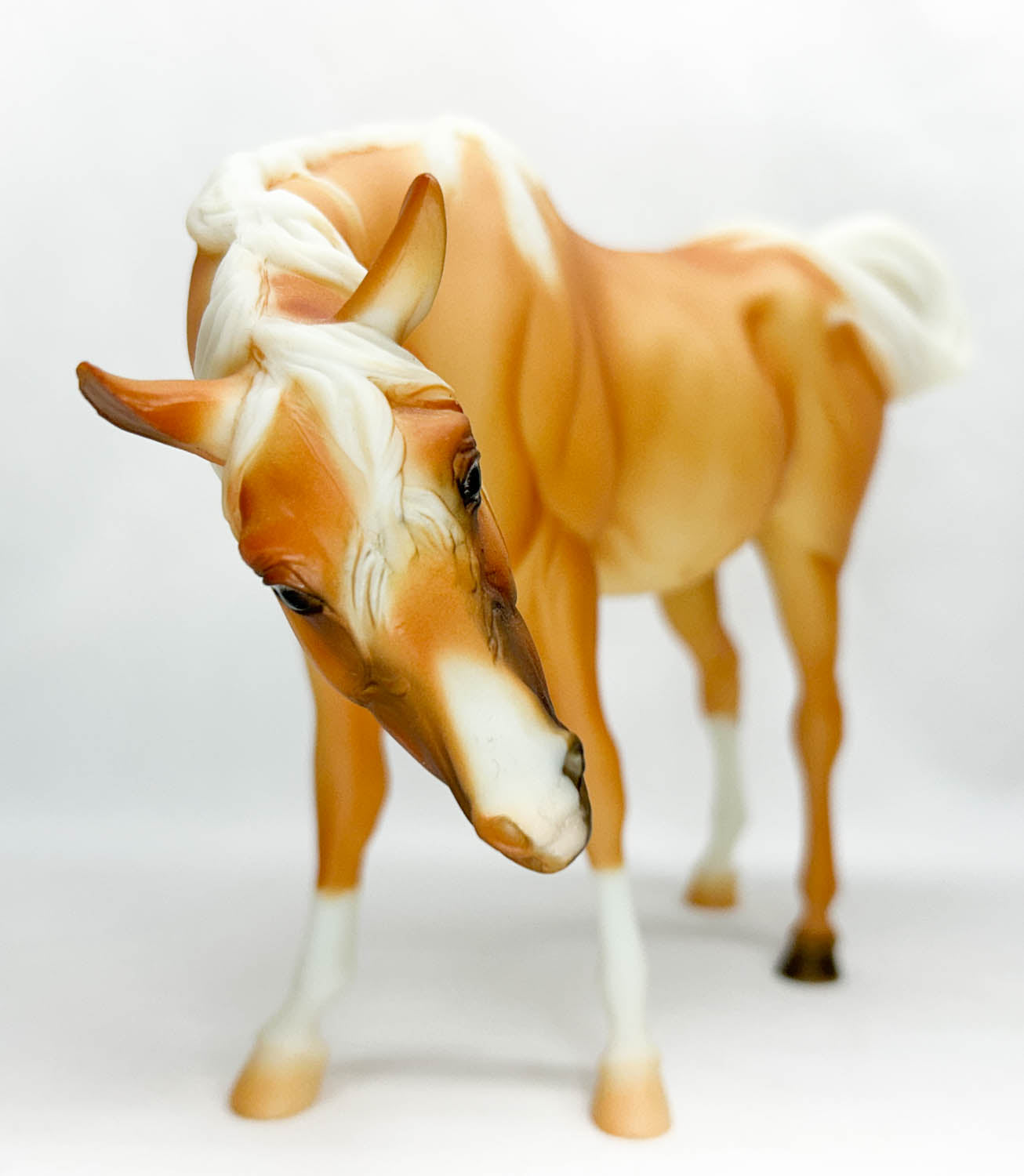 Susecion and Le Fire ~ Baby's First Steps - QVC SR