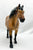Exmoor Pony ~ Original Release - Only 30 Made!