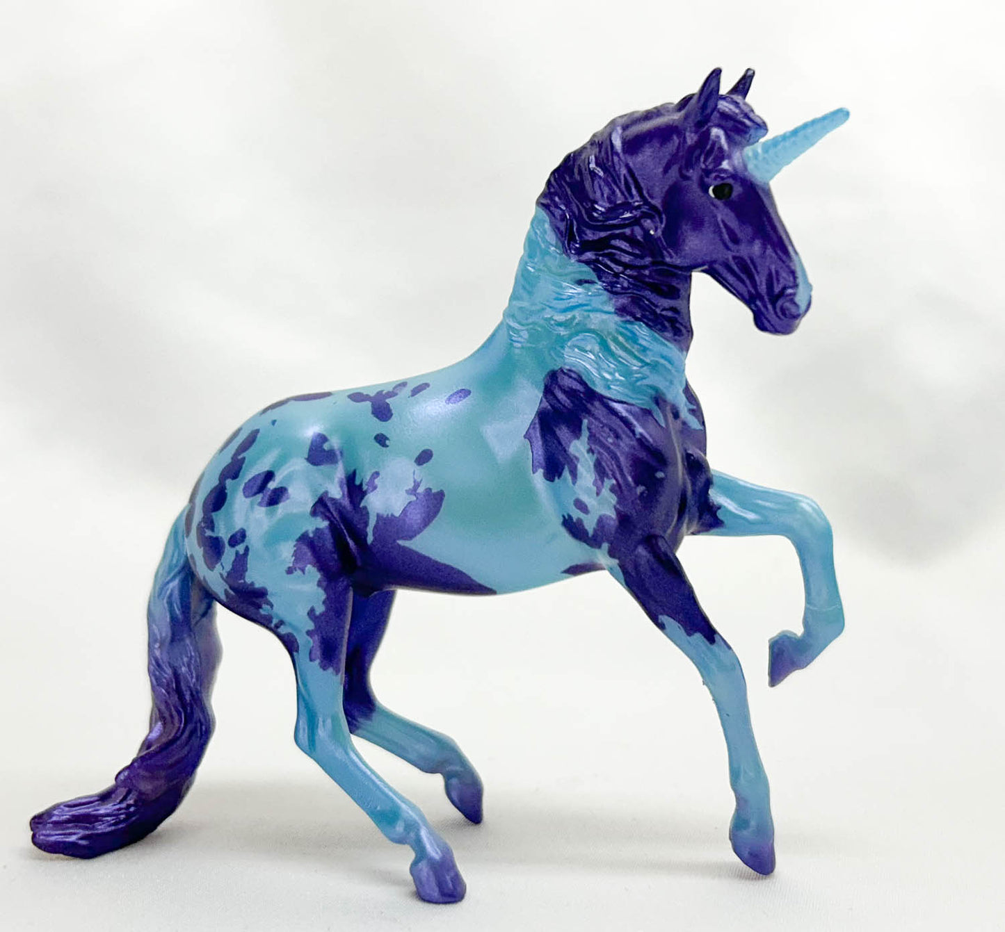 Alborozo ~ Valerio, Blue and Purple Pintaloosa