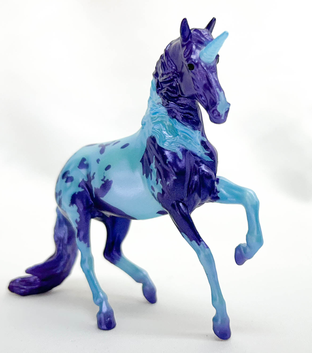 Alborozo ~ Valerio, Blue and Purple Pintaloosa