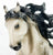 Andalusian Stallion, Dapple Grey - 70th Anniversary GLOSSY Appreciation Model