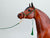 Arabian Halter - Green, Gold & Black  (Traditional)