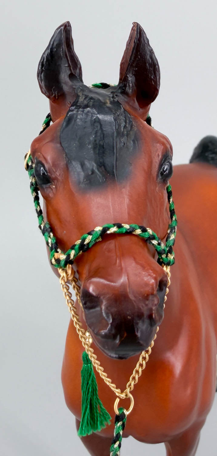 Arabian Halter - Green, Gold & Black  (Traditional)