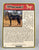 Bio Card:  Marwari, Palomino