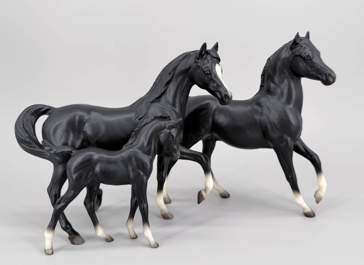 Arabian Family, Black - 1990 Sears SR