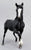 Arabian Family, Black - 1990 Sears SR