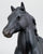 Arabian Family, Black - 1990 Sears SR