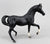 Arabian Family, Black - 1990 Sears SR