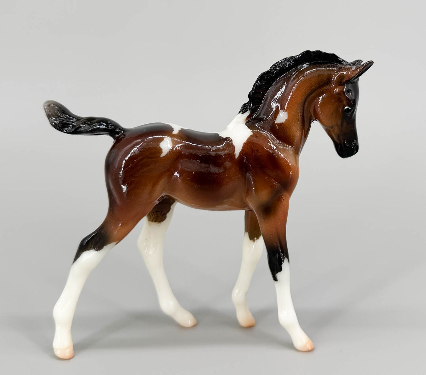 Arabian Foal ~ Sophia -  GLOSSY - 2016 CCA Model, Less Than 500 Made