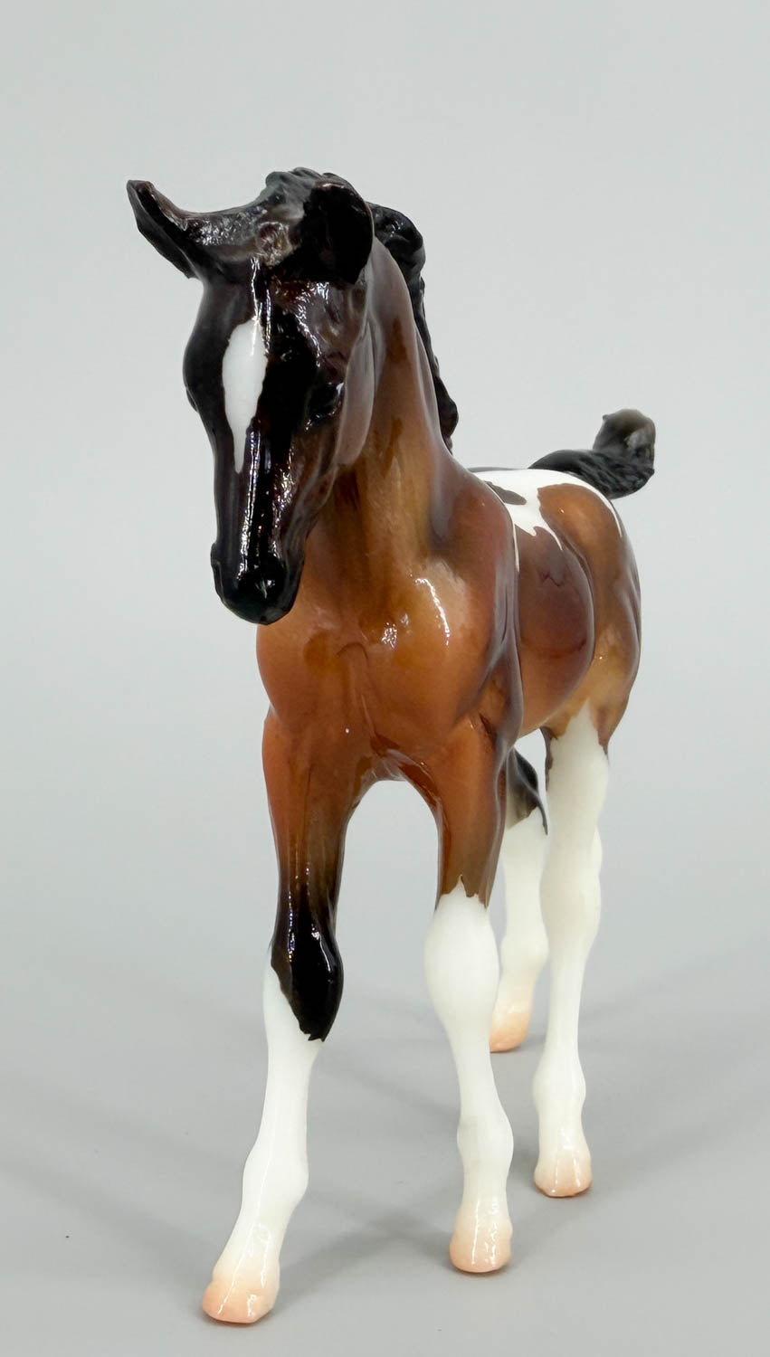 Arabian Foal ~ Sophia -  GLOSSY - 2016 CCA Model, Less Than 500 Made