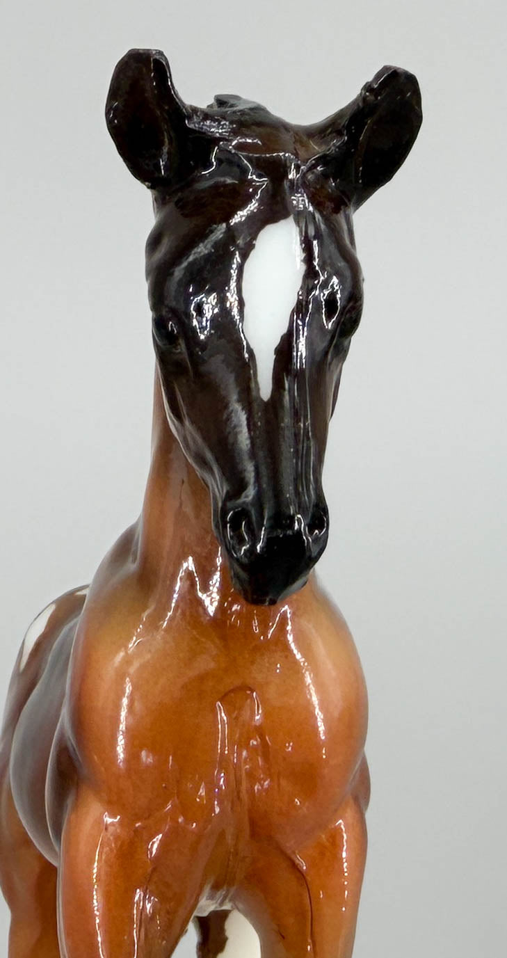 Arabian Foal ~ Sophia -  GLOSSY - 2016 CCA Model, Less Than 500 Made