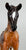Arabian Foal ~ Sophia -  GLOSSY - 2016 CCA Model, Less Than 500 Made