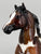 Arabian Stallion ~ Julien - GLOSSY - 2016 CCA Model, Less Than 500 Made