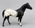 Quarter Horse Stallion, Black Appaloosa - Export and Mail Order SR - Rare!