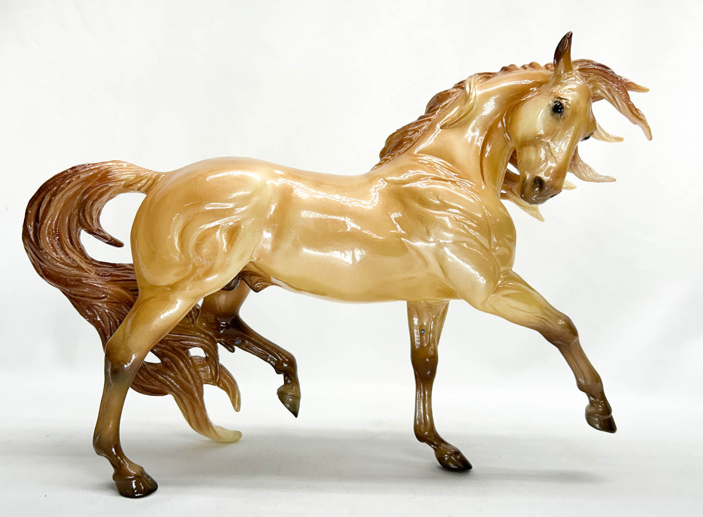 Esprit ~ Apollo del Solis - Breyerfest 2021 - GLOSSY