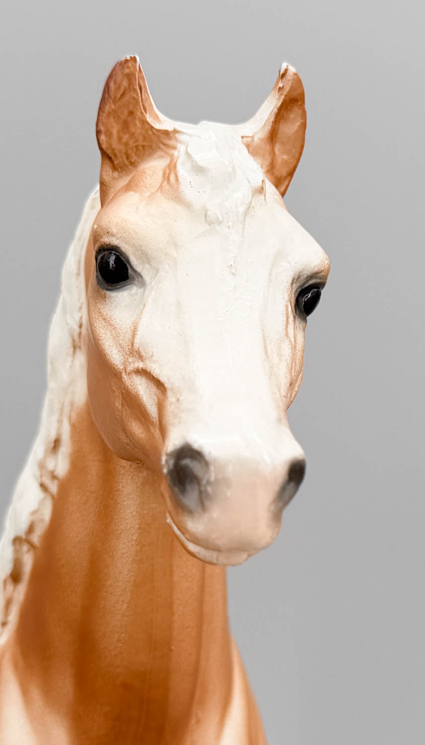 Family Arabian Mare ~ Hope - Palomino, CHALKY