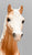 Family Arabian Mare ~ Hope - Palomino, CHALKY