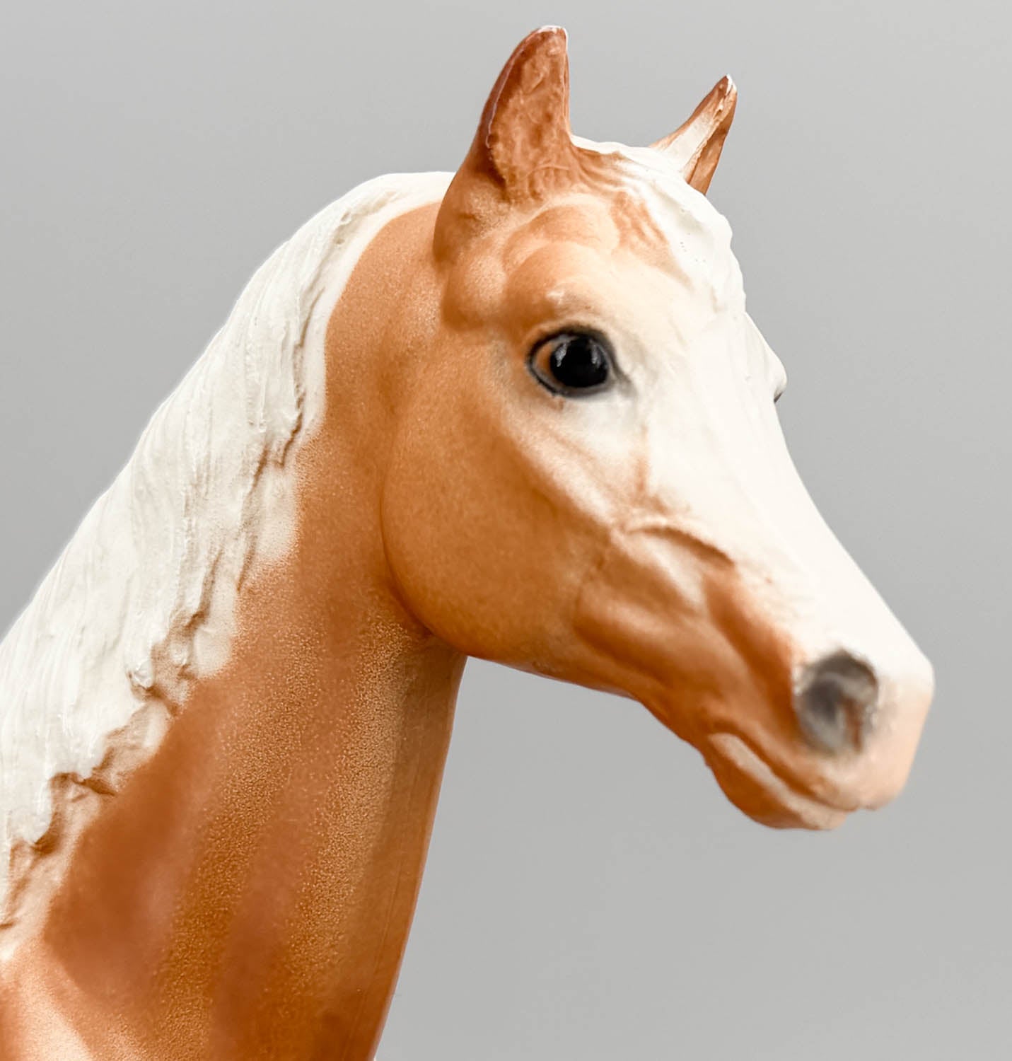 Family Arabian Mare ~ Hope - Palomino, CHALKY