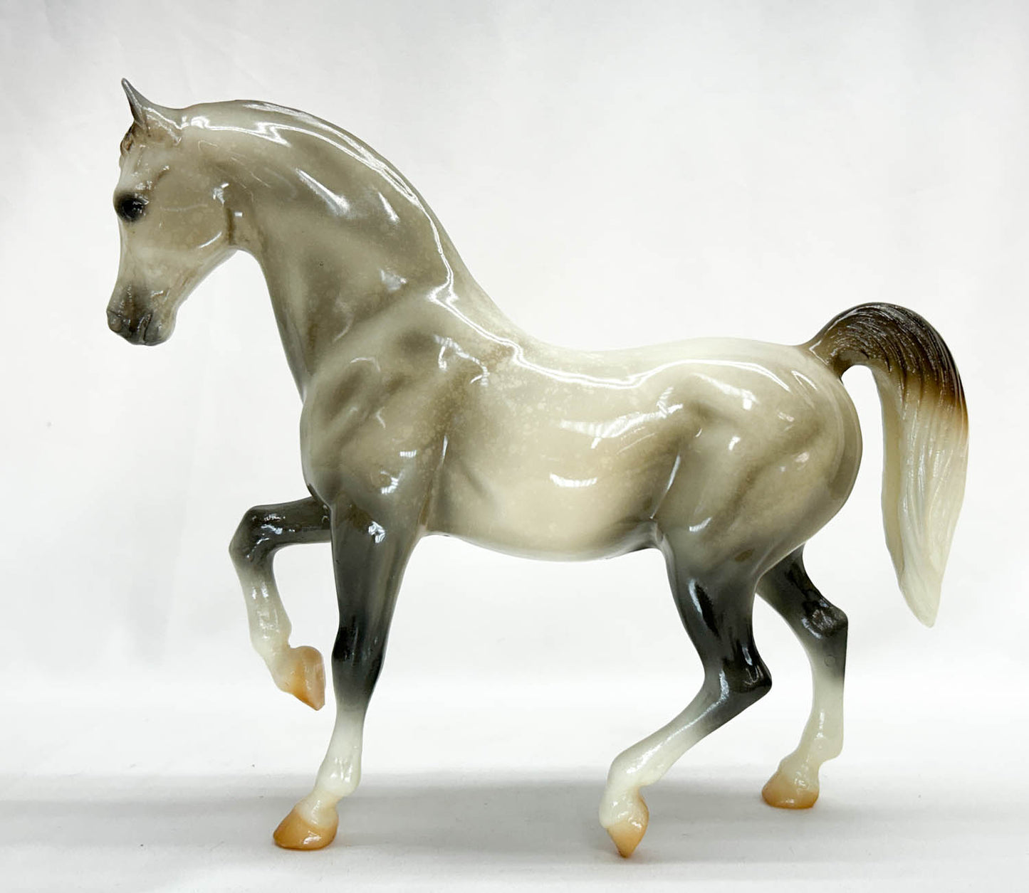 Family Arabian Stallion ~ Pippin - 6-Month Release