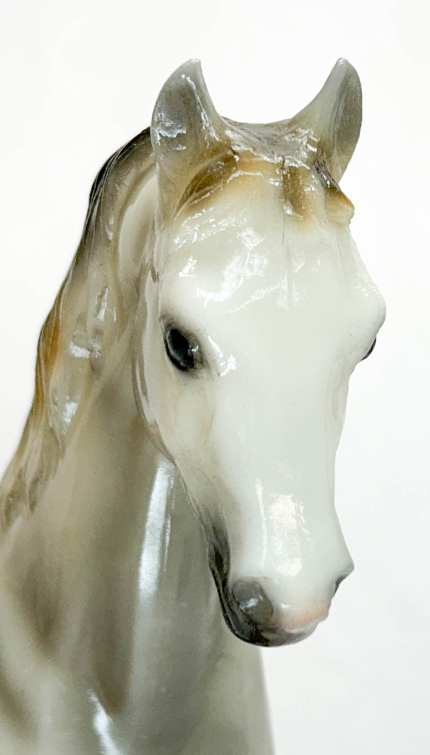 Family Arabian Stallion ~ Pippin - 6-Month Release