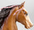 Five Gaiter ~ Commander, Chestnut with Eye Whites