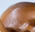 Five Gaiter ~ Commander, Chestnut with Eye Whites