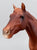 Lady Phase (Original Release) VARIATION: Body-Colored Mane and Tail