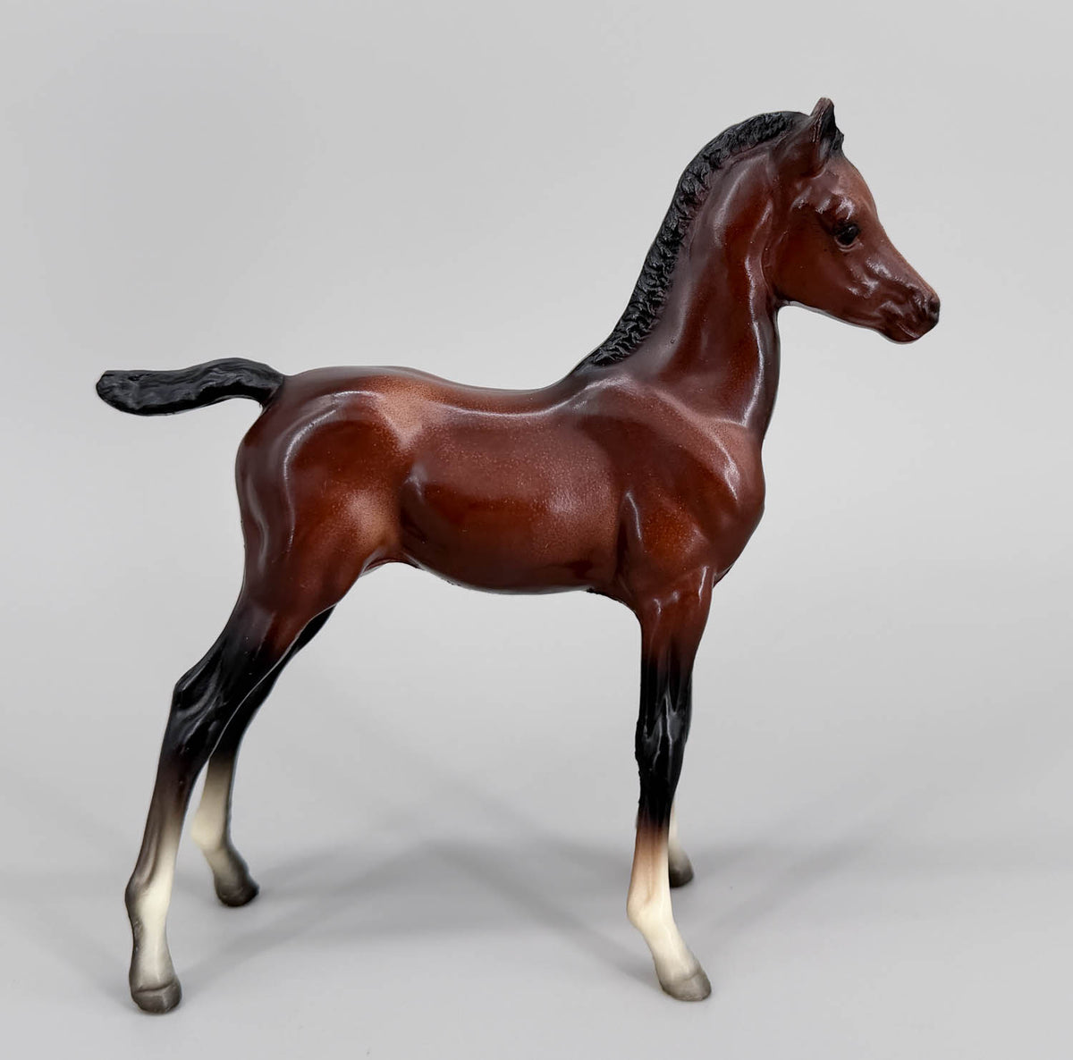 Proud Arabian Foal, Mahogany Bay - Semigloss