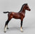 Proud Arabian Foal, Mahogany Bay - Semigloss