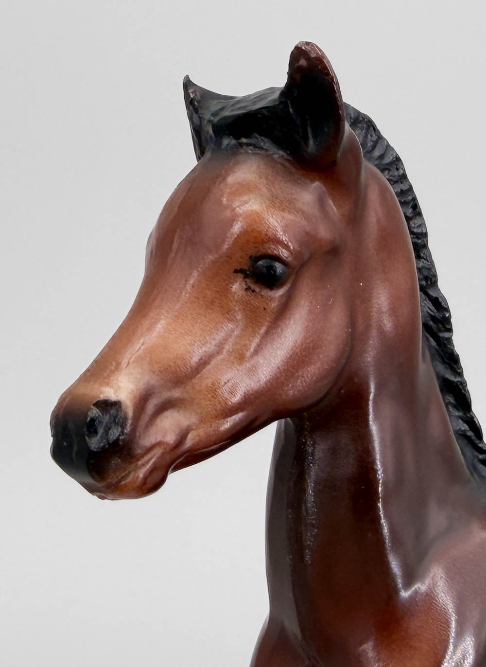 Proud Arabian Foal, Mahogany Bay - Semigloss