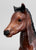 Proud Arabian Foal, Mahogany Bay - Semigloss