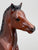 Proud Arabian Foal, Mahogany Bay - Semigloss