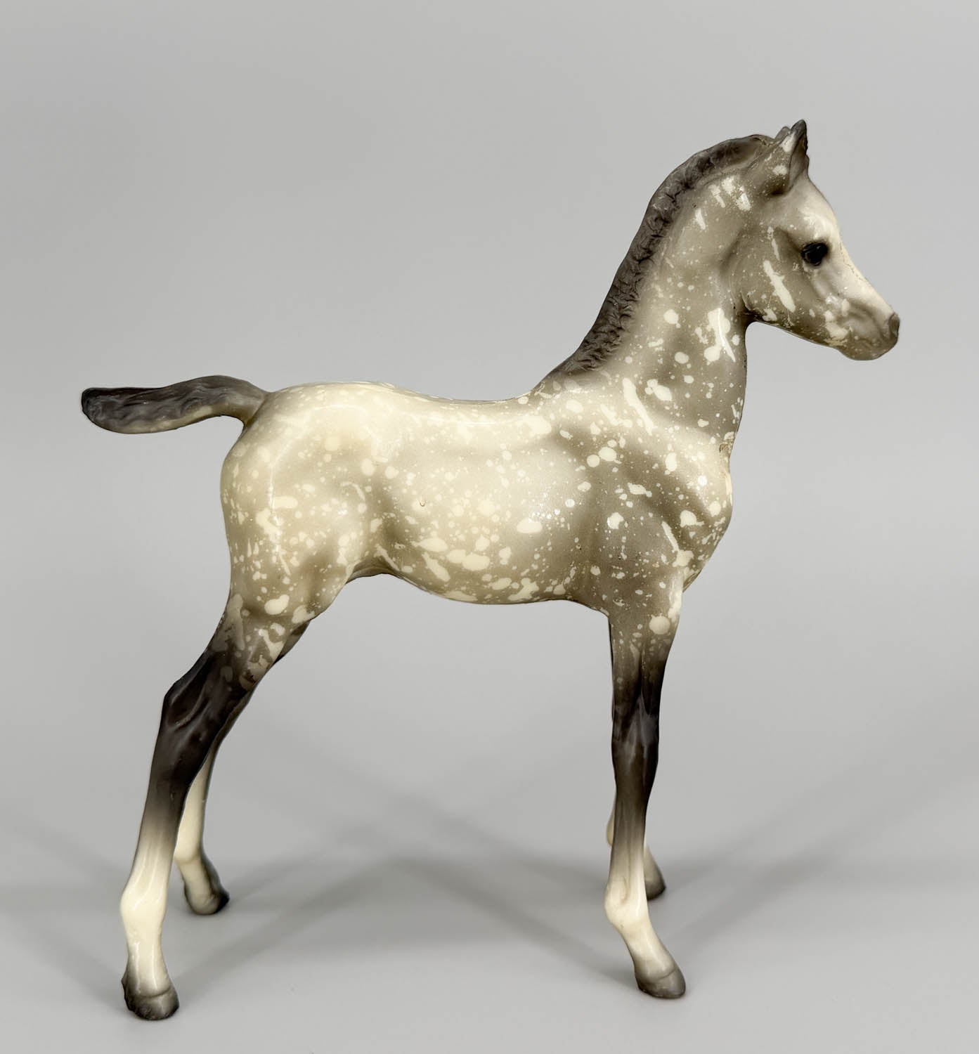 Proud Arabian Foal, Dapple Grey Matte - B-Stamp