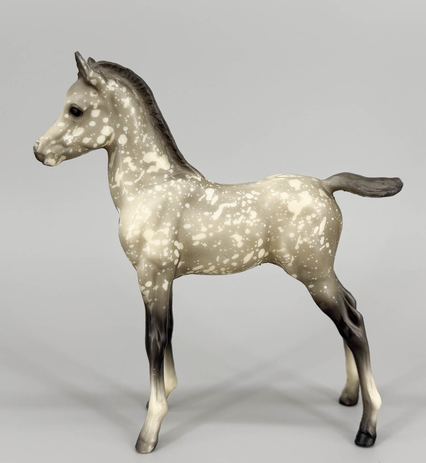 Proud Arabian Foal, Dapple Grey Matte - B-Stamp