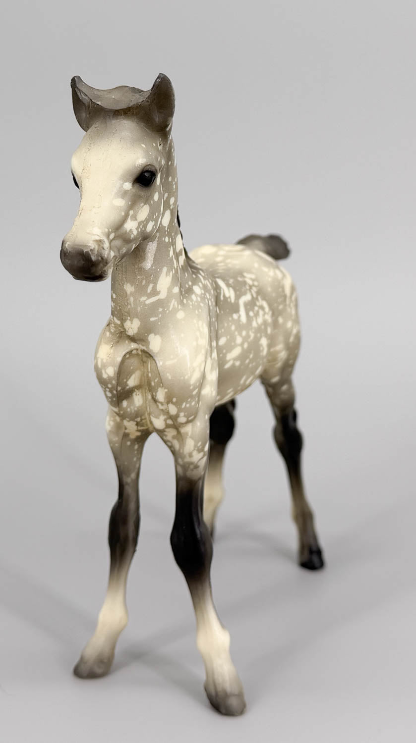 Proud Arabian Foal, Dapple Grey Matte - B-Stamp