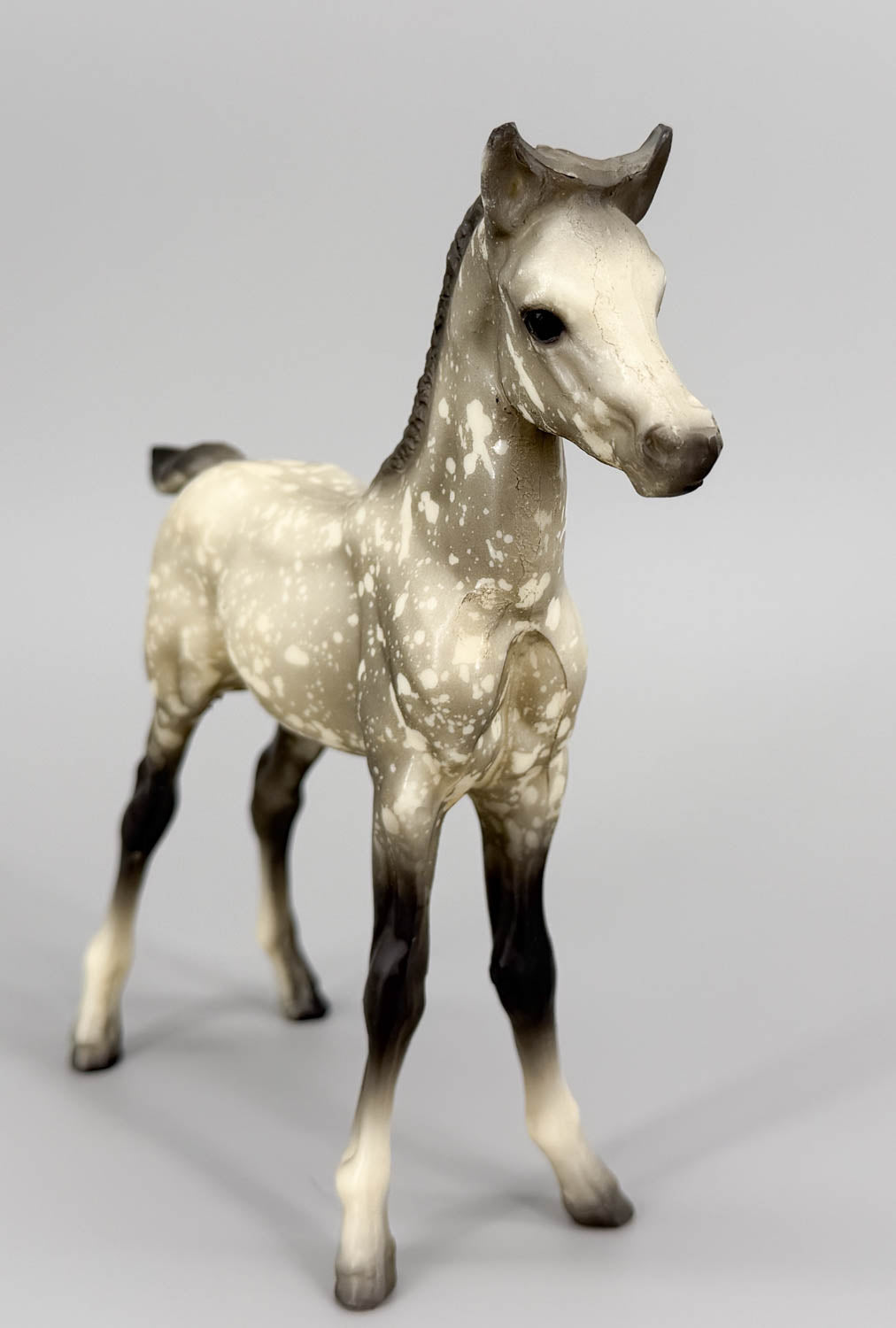 Proud Arabian Foal, Dapple Grey Matte - B-Stamp