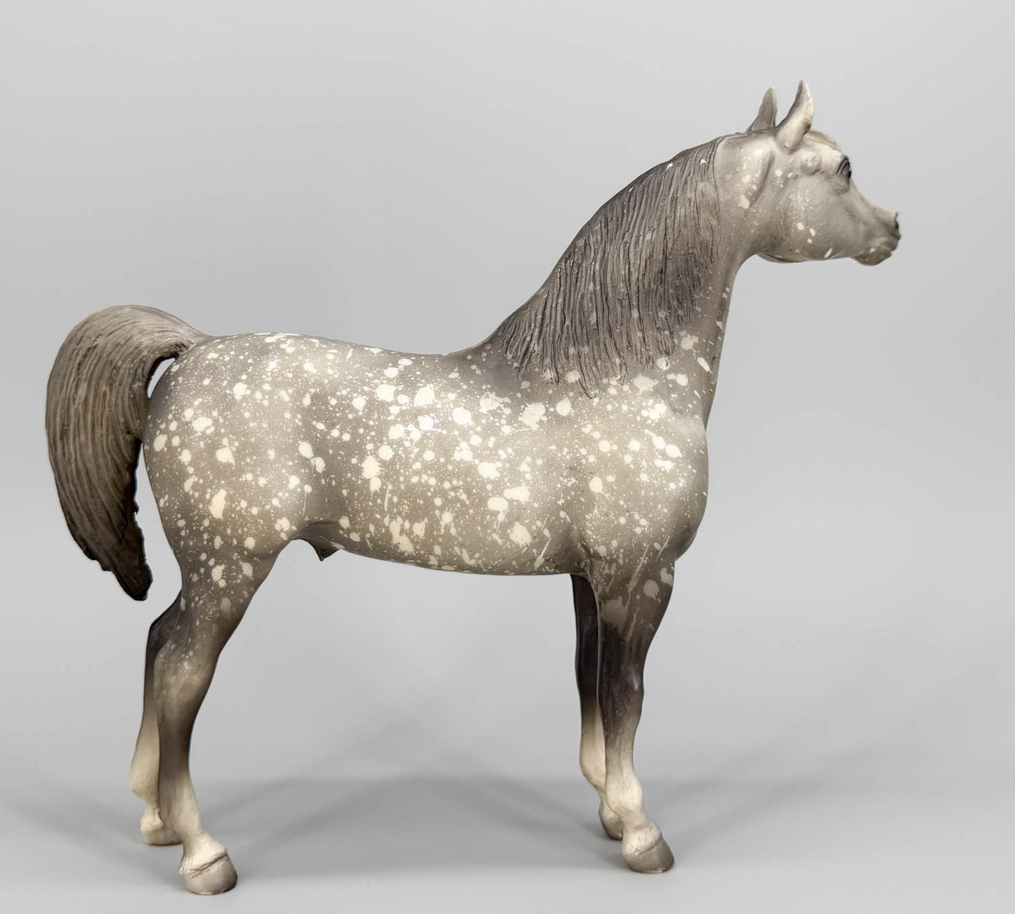 Proud Arabian Stallion, Dapple Grey, Matte