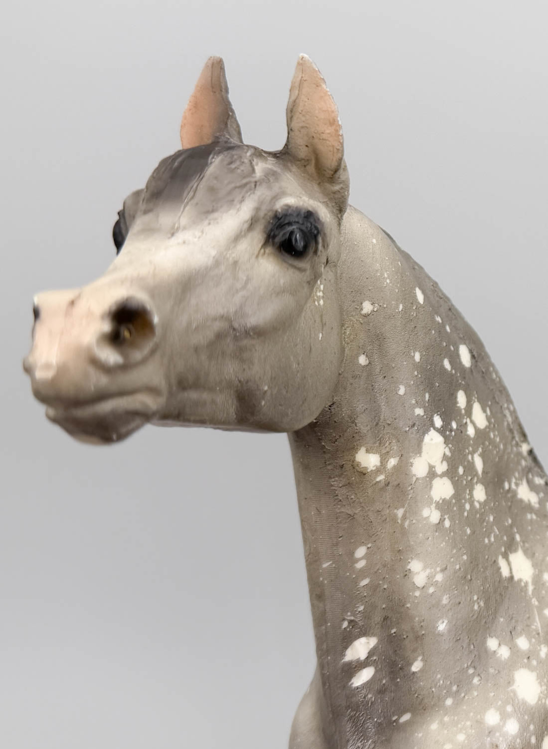 Proud Arabian Stallion, Dapple Grey, Matte