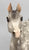 Proud Arabian Stallion, Dapple Grey, Matte