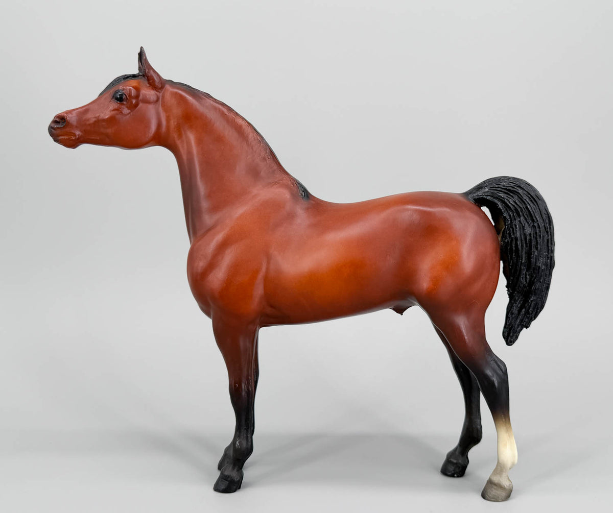 Proud Arabian Stallion, Bay - JC Penney SR