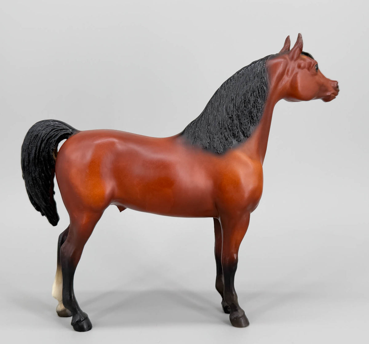 Proud Arabian Stallion, Bay - JC Penney SR