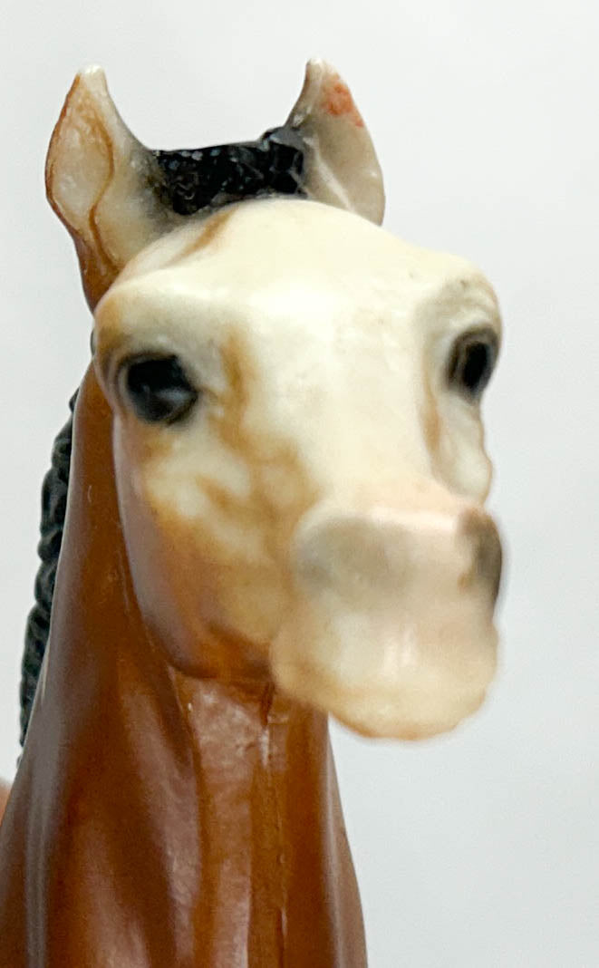 Running Foal, Bay - High Satin/Semigloss Finish