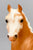 Running Mare, Palomino - 1982 Montgomery Ward SR