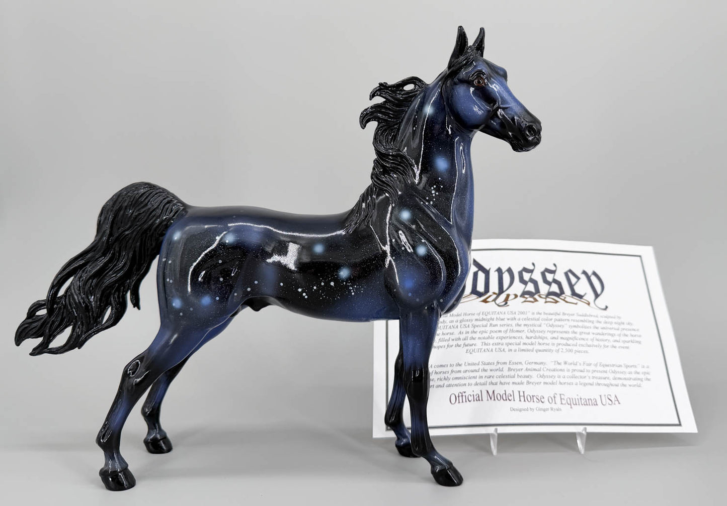 American Saddlebred Stallion ~ Odyssey - Equitana SR w/ COA
